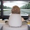 Conduite sur simulateur bus/car